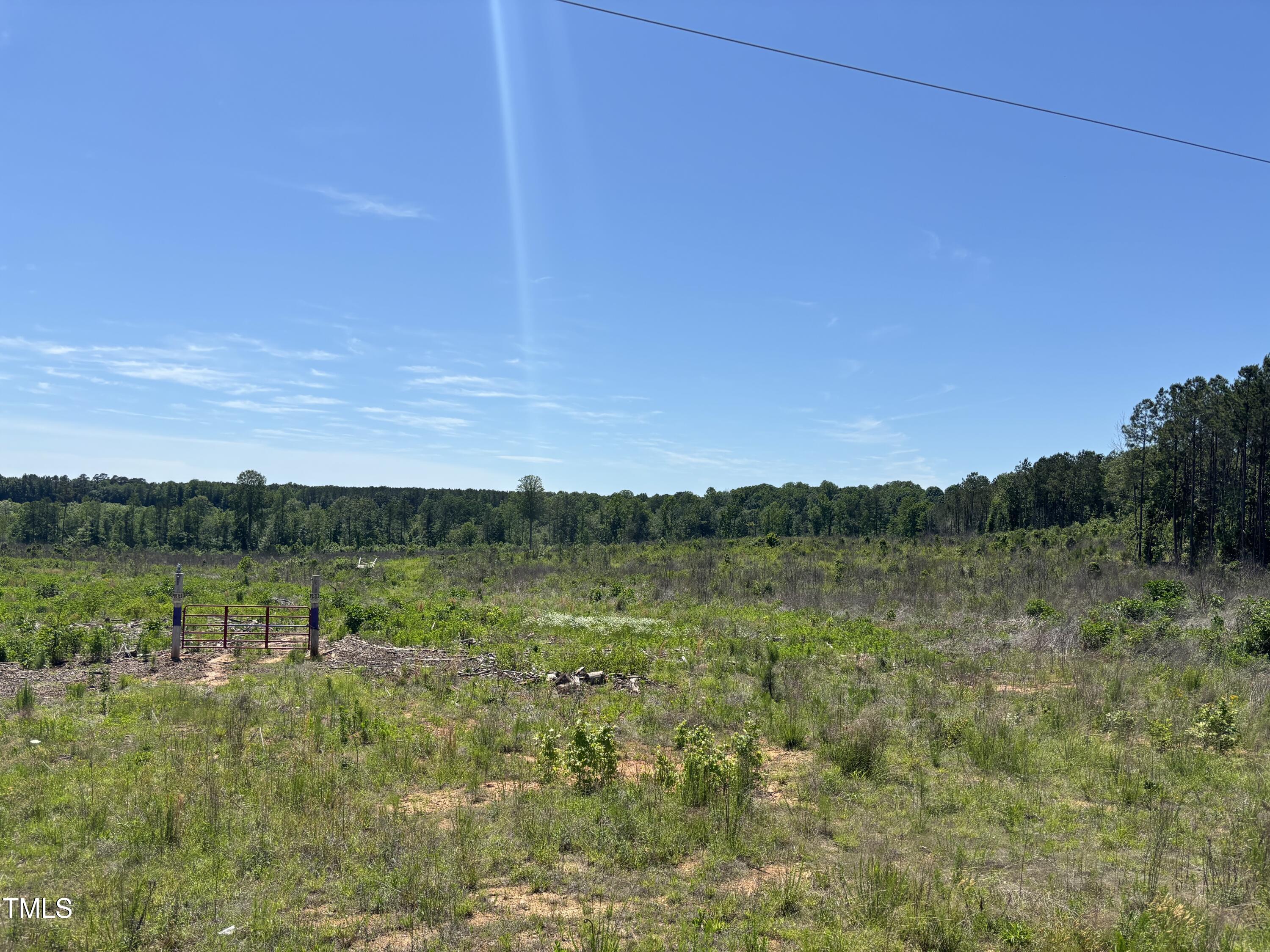 0 Cheeks Quarter Road Henderson, NC 27537 - Photo 3 of 5 a view of mountain with lake view
