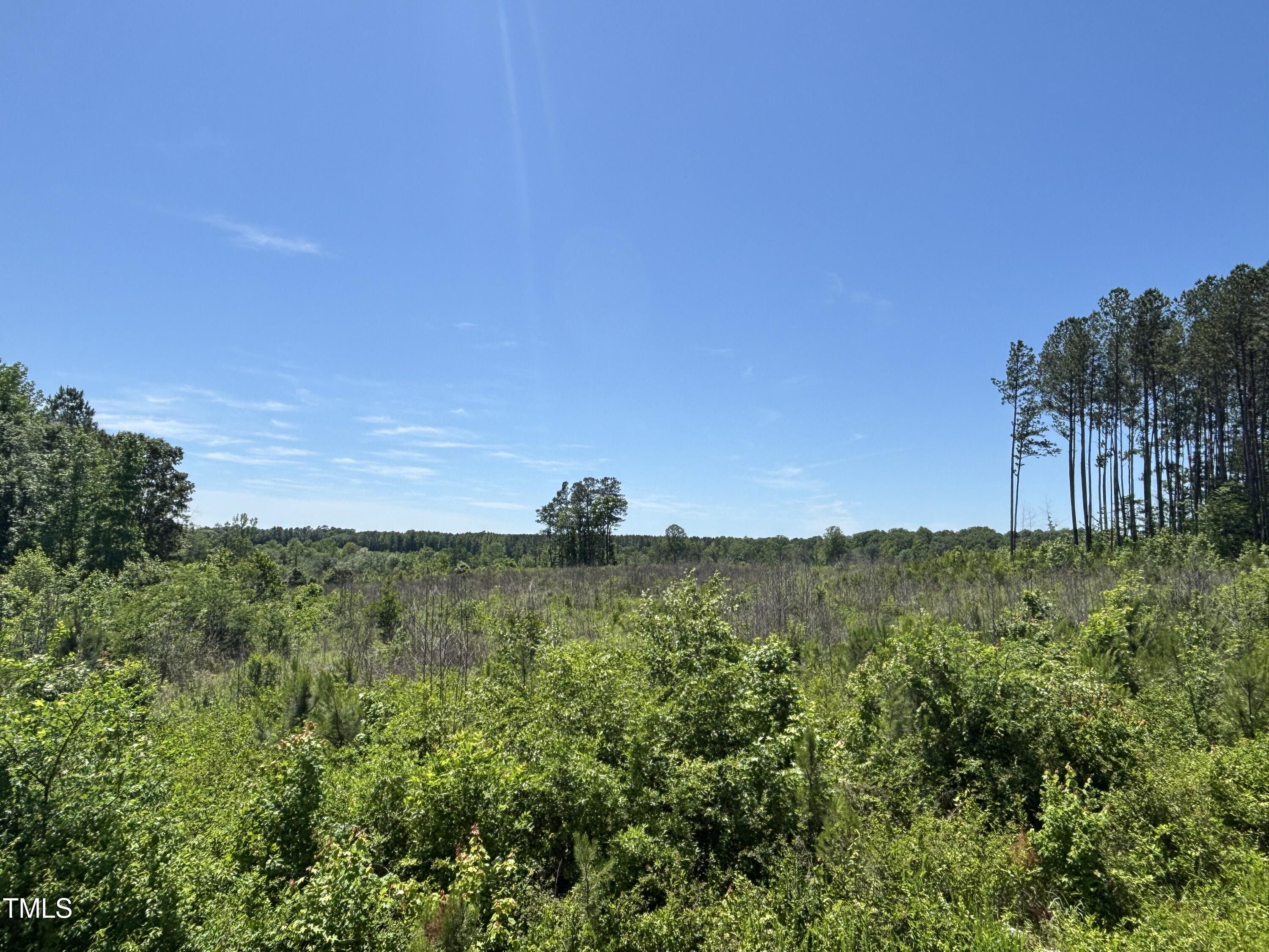 0 Cheeks Quarter Road Henderson, NC 27537 - Photo 4 of 5 a view of a field of grass and trees
