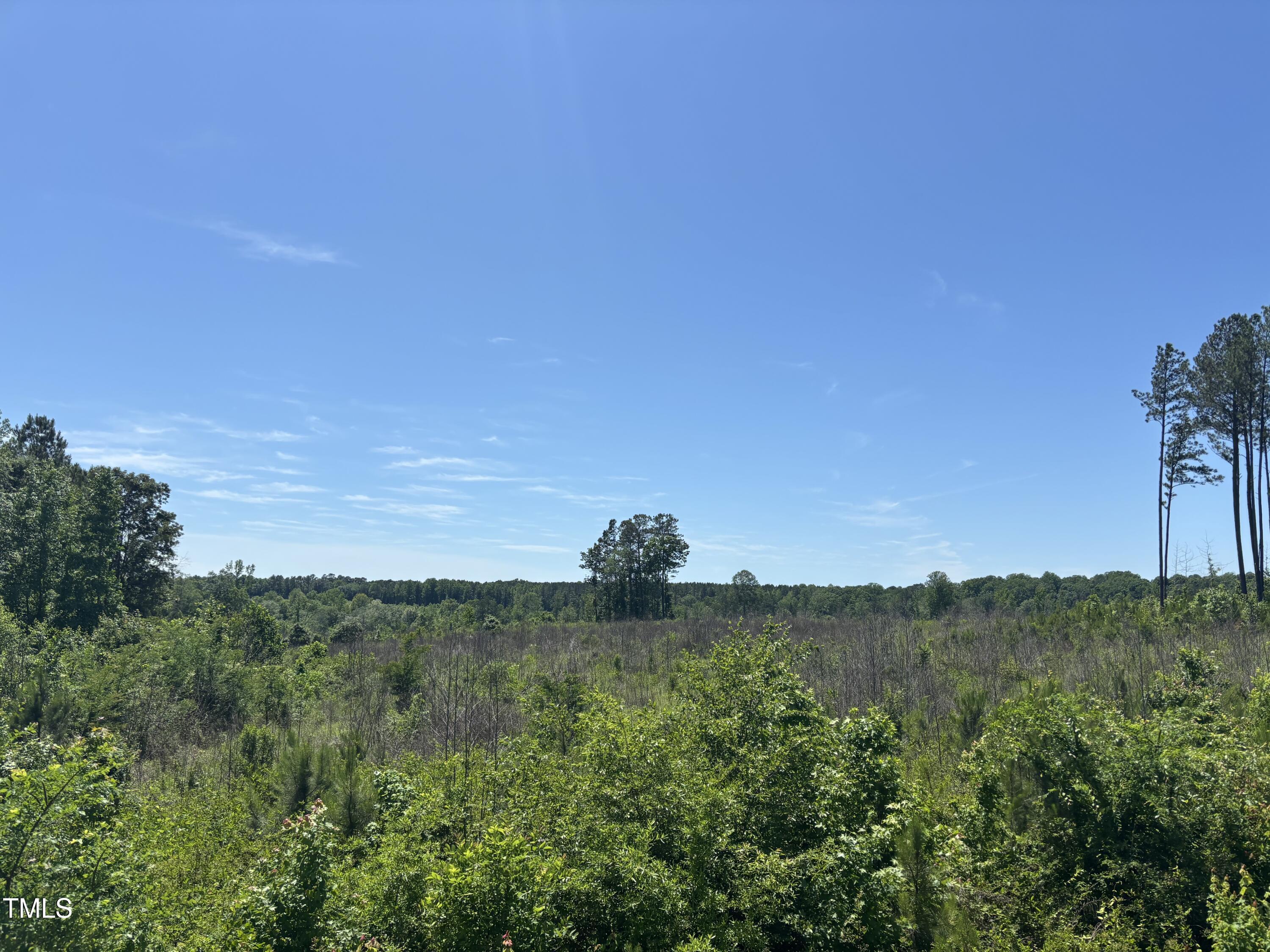 0 Cheeks Quarter Road Henderson, NC 27537 - Photo 5 of 5 a view of a lake and a mountain