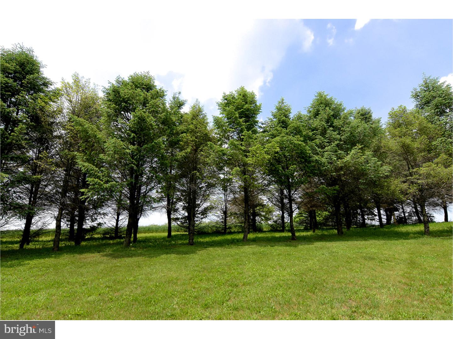 151 Scull Hill Loop Road Bernville, PA 19506 - Photo 10 of 22 Gallery Image 10