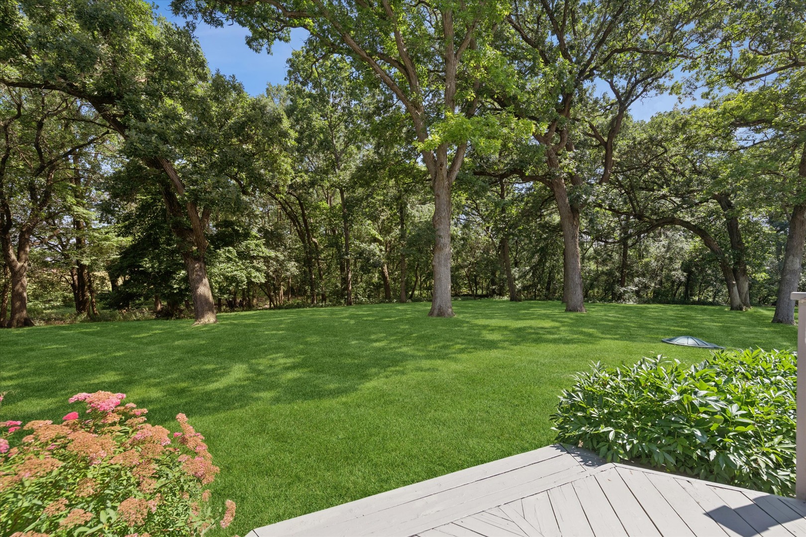 22801 Glenhurst Road Deer Park, IL 60010 - Photo 40 of 58