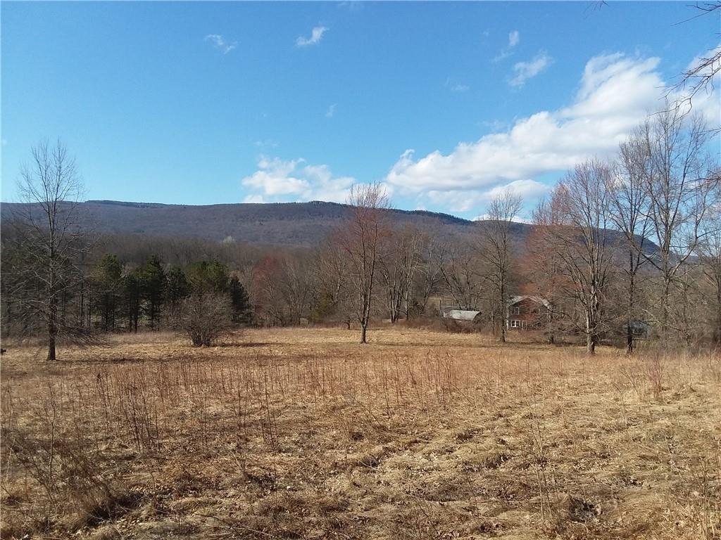 Tbd Saddleback Ridge Road Wallkill, NY 12589 - Photo 1 of 1 a backyard of a house