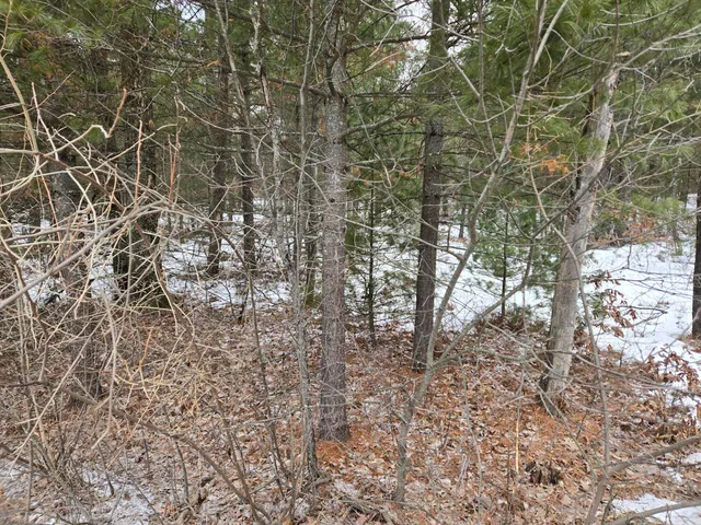 $11,400 | Celestial Drive, Idlewild, MI 49642