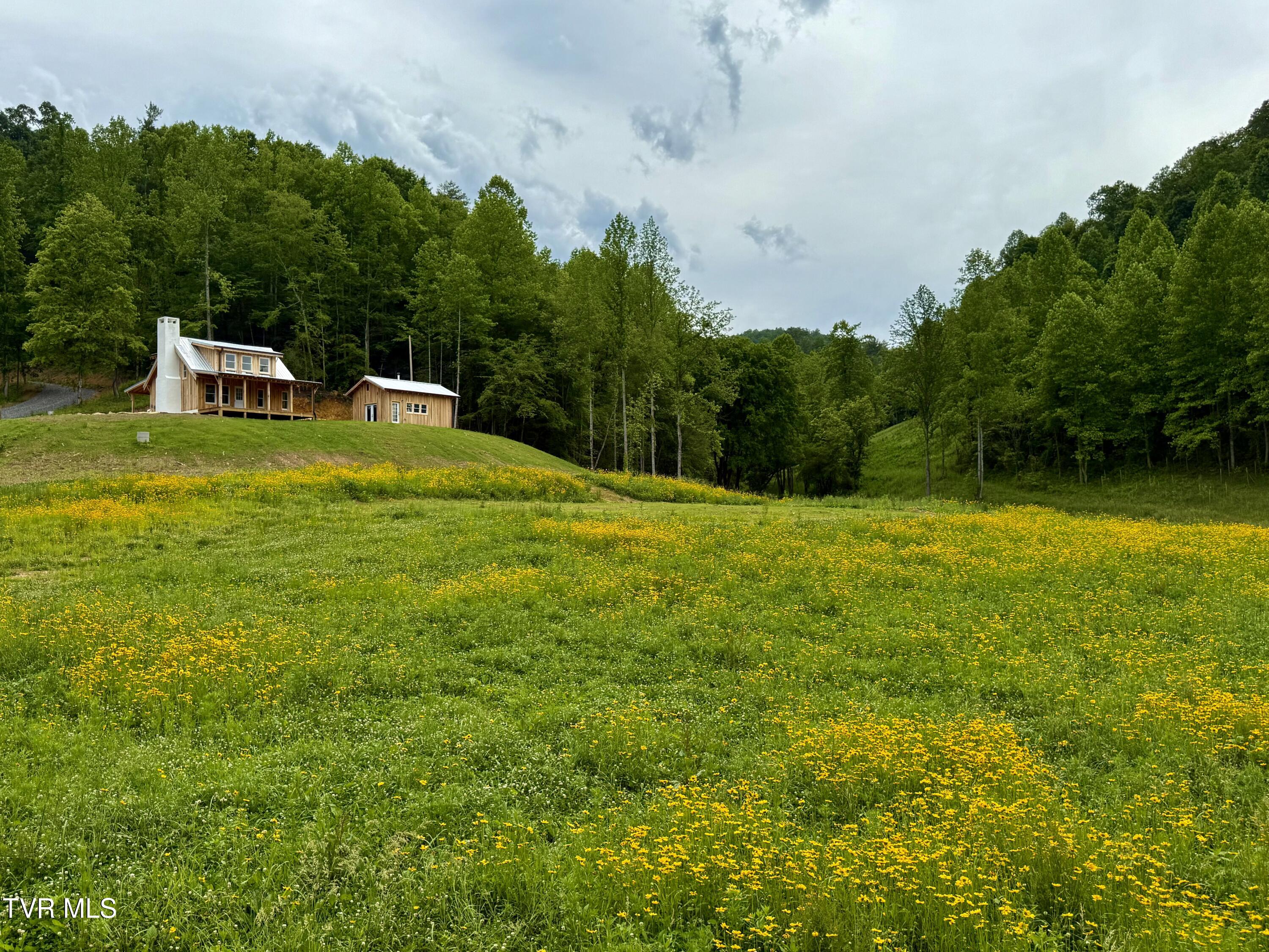 538 Punkton Road Del Rio, TN 37727 - Photo 9 of 92 _Pic9 (57)