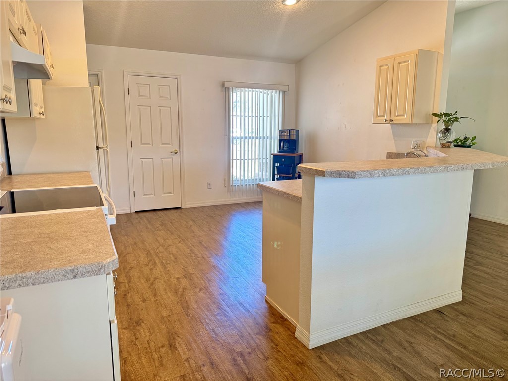 4588 East Van Ness Road Inverness, FL 34453 - Photo 6 of 34 a view of kitchen with cabinets and wooden floor