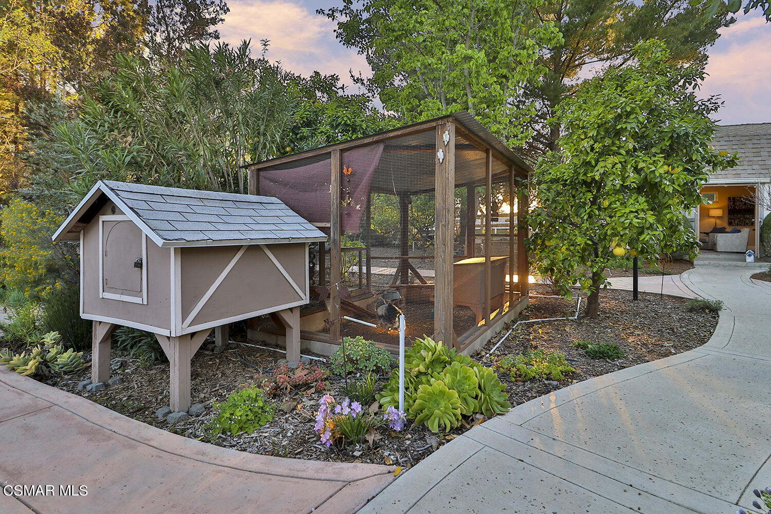11842 Pradera Road Camarillo, CA 93012 - Photo 50 of 62 kBackyard and Orchard17