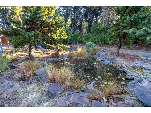 a view of lake plants and large trees