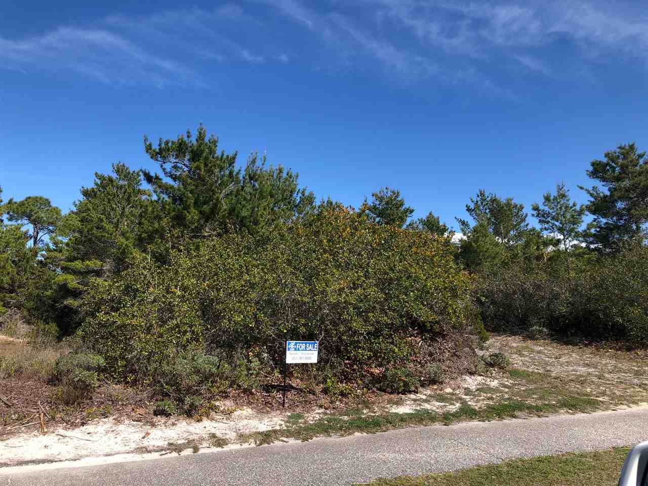 32205 River Road Orange Beach, AL 36561 - Photo 1 of 4