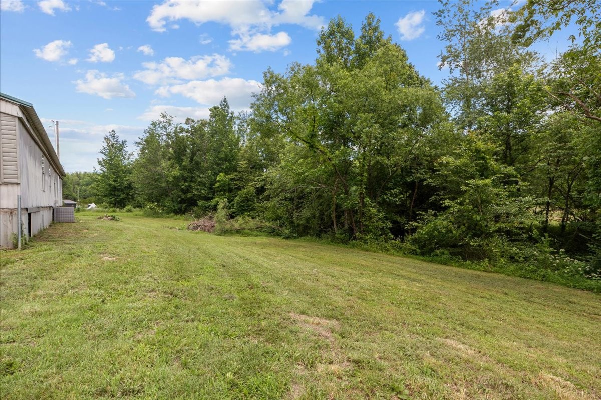2900 Jack Branch Road Waverly, TN 37185 - Photo 24 of 51
