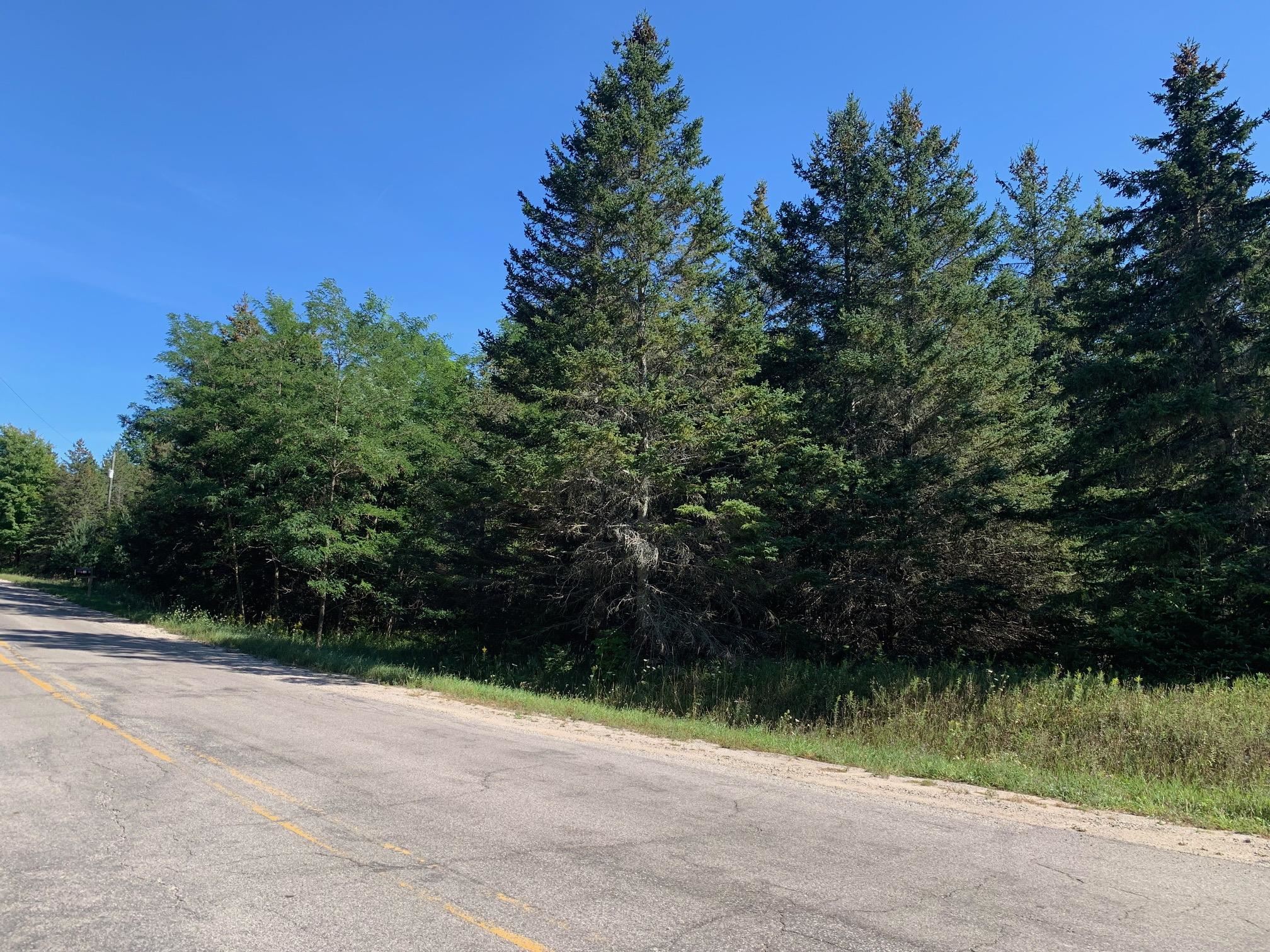 0 South Maple City Road Traverse City, MI 49684 - Photo 14 of 22