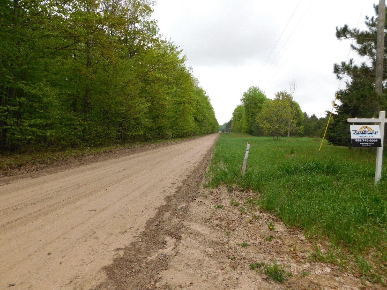 Post Road Frederic, MI 49733 - Photo 28 of 30 Gallery Image 28