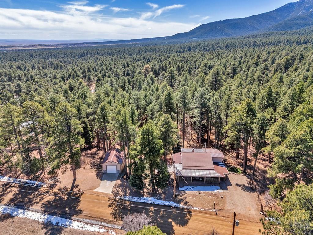 8326 Cuerna Verde Road Rye, CO 81069 - Photo 51 of 65