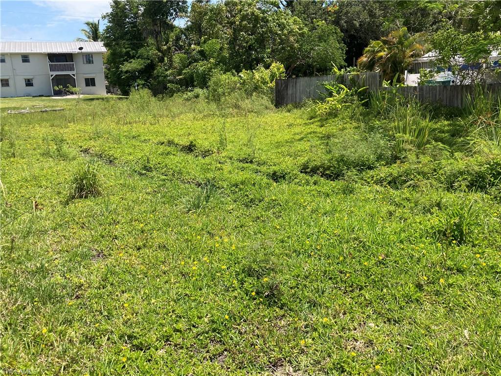 a view of a yard with plants