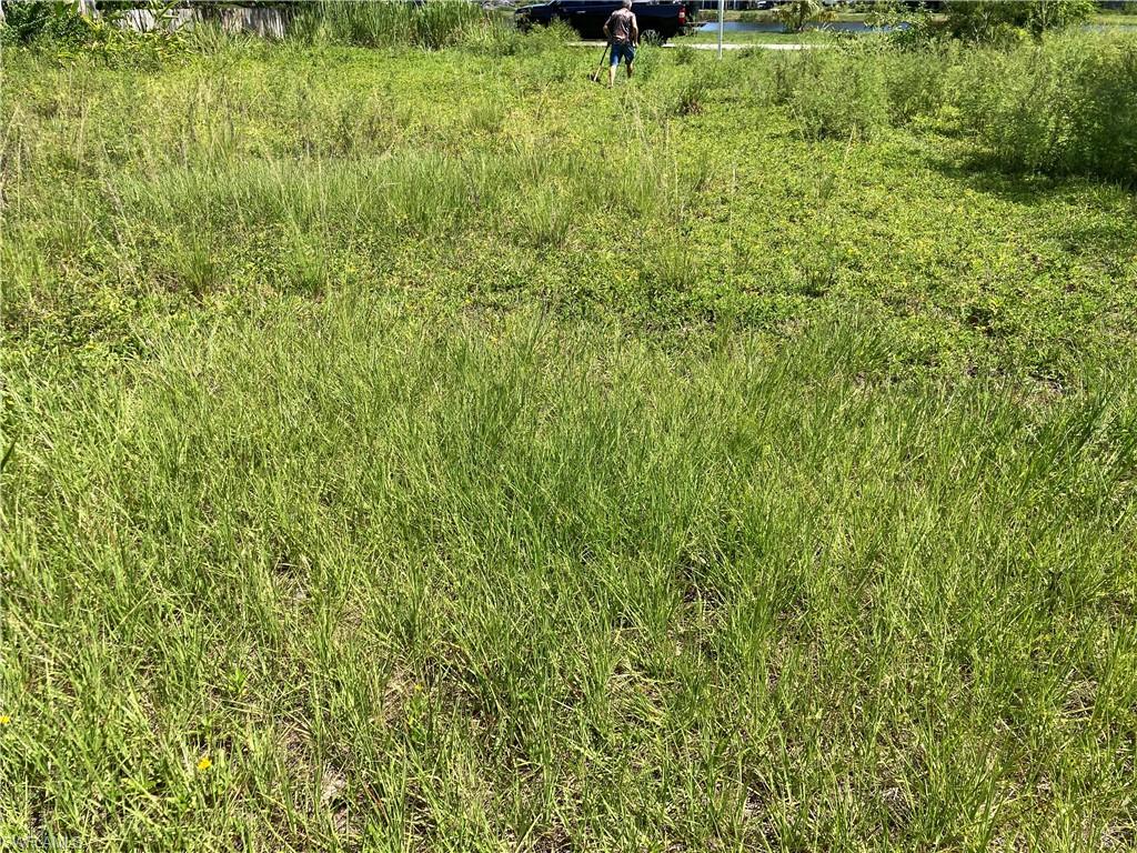 125 Lee Street Naples, FL 34112 - Photo 9 of 10 a view of a lush green field