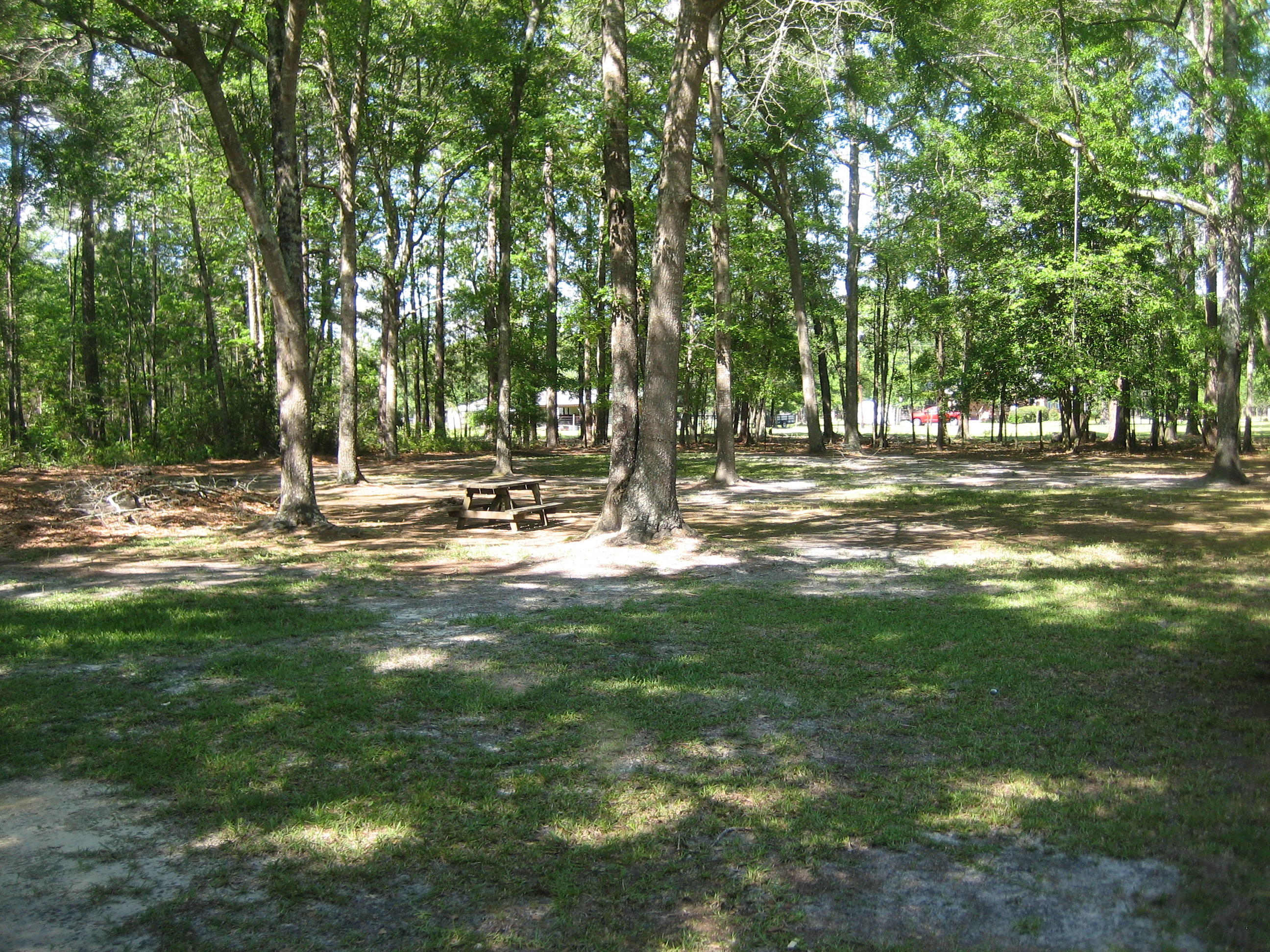 109 Culpepper Road Walterboro, SC 29488 - Photo 5 of 25 IMG_6828