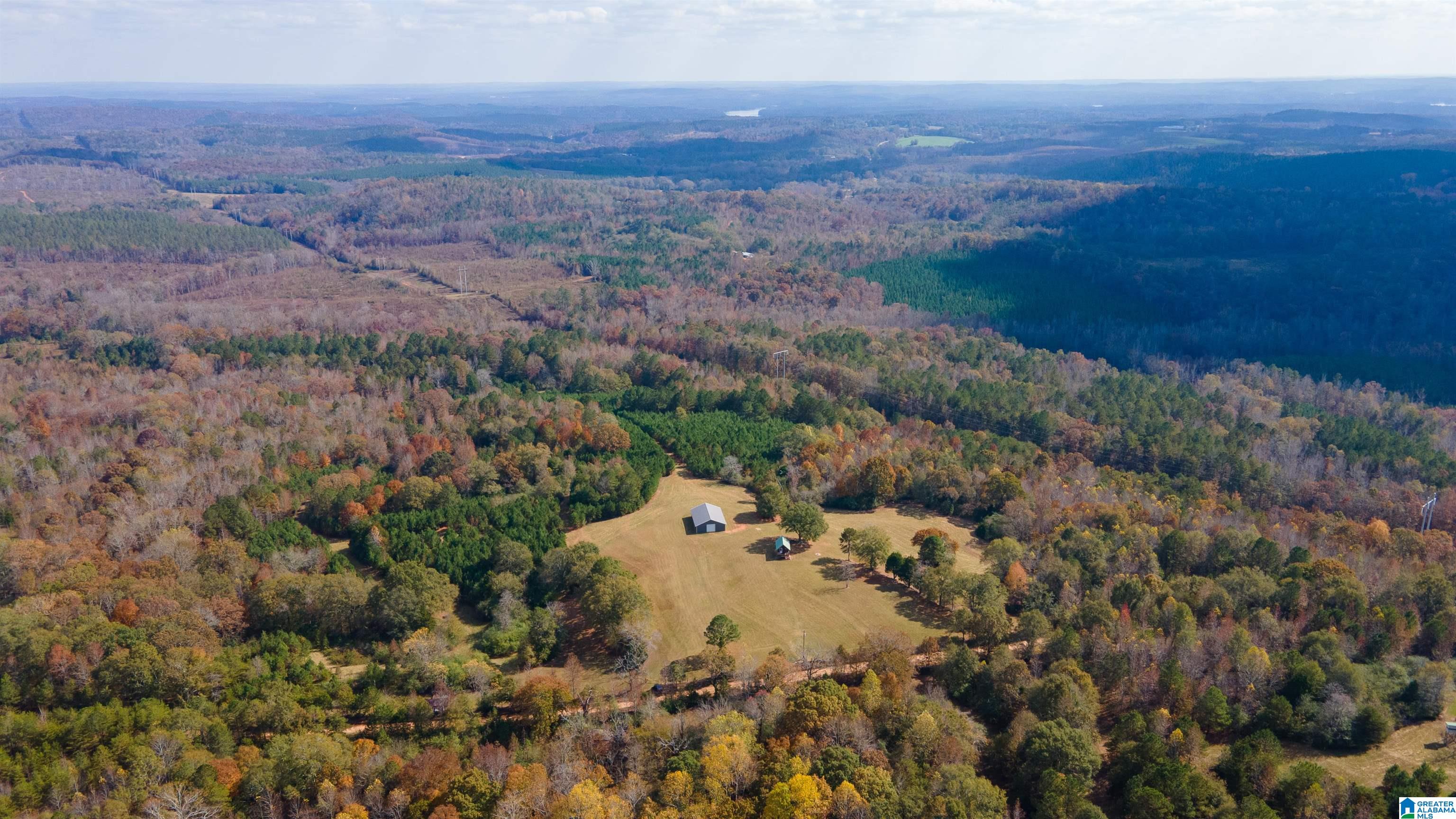 0 White Plains Road Munford, AL 36268 - Photo 3 of 17