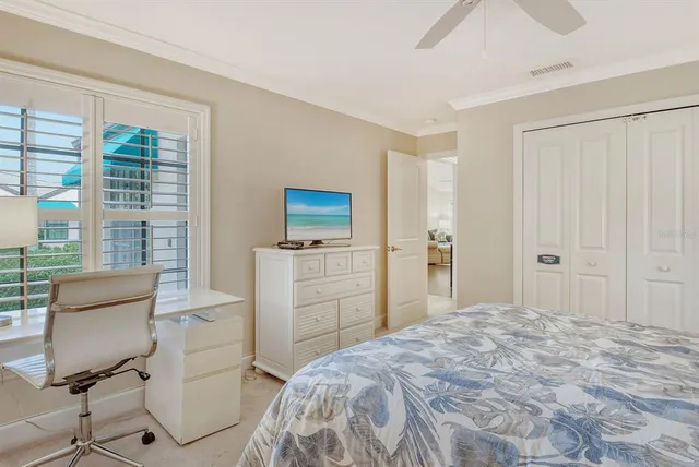 a view of a park with palm trees