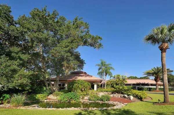a view of a swimming pool with a garden and plants