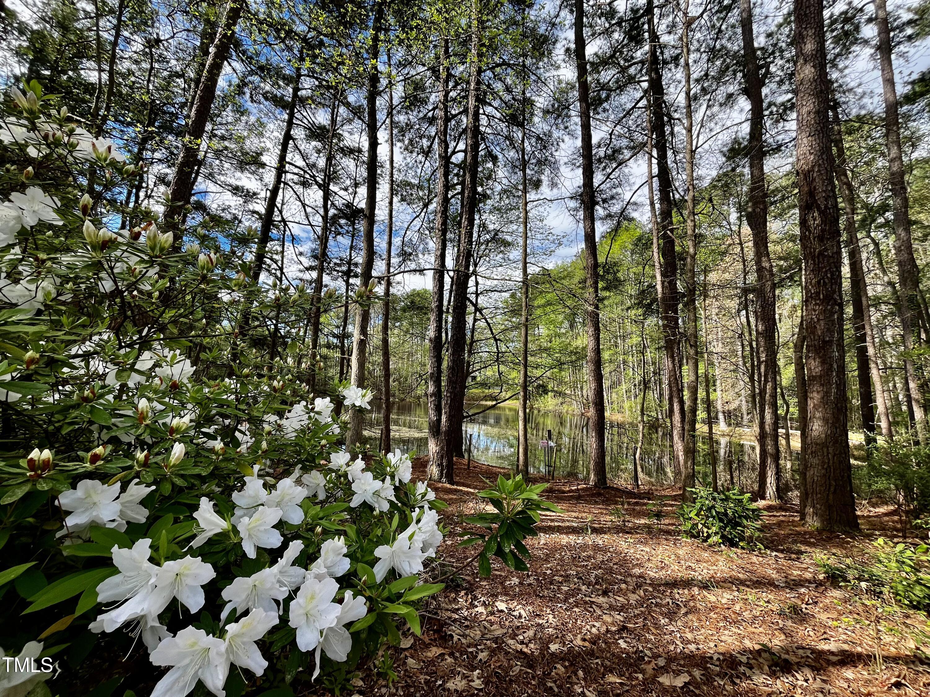 3111 Tanager Street Raleigh, NC 27606 - Photo 53 of 56 58-BackFlower