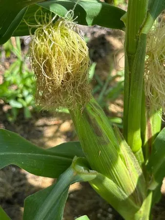 $360,000 | 9447 Pilgrim Lane North, Maple Grove, MN 55369