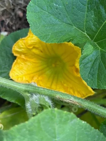 $360,000 | 9447 Pilgrim Lane North, Maple Grove, MN 55369