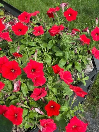 $360,000 | 9447 Pilgrim Lane North, Maple Grove, MN 55369