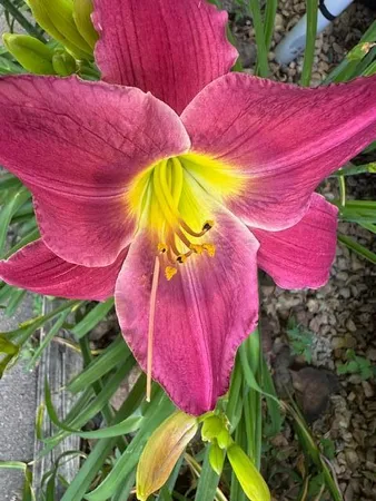 $360,000 | 9447 Pilgrim Lane North, Maple Grove, MN 55369