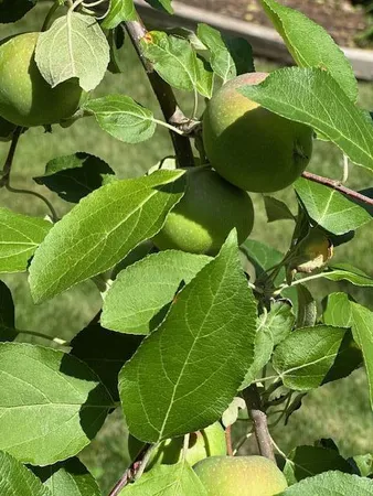 $360,000 | 9447 Pilgrim Lane North, Maple Grove, MN 55369