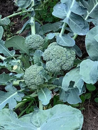 $360,000 | 9447 Pilgrim Lane North, Maple Grove, MN 55369