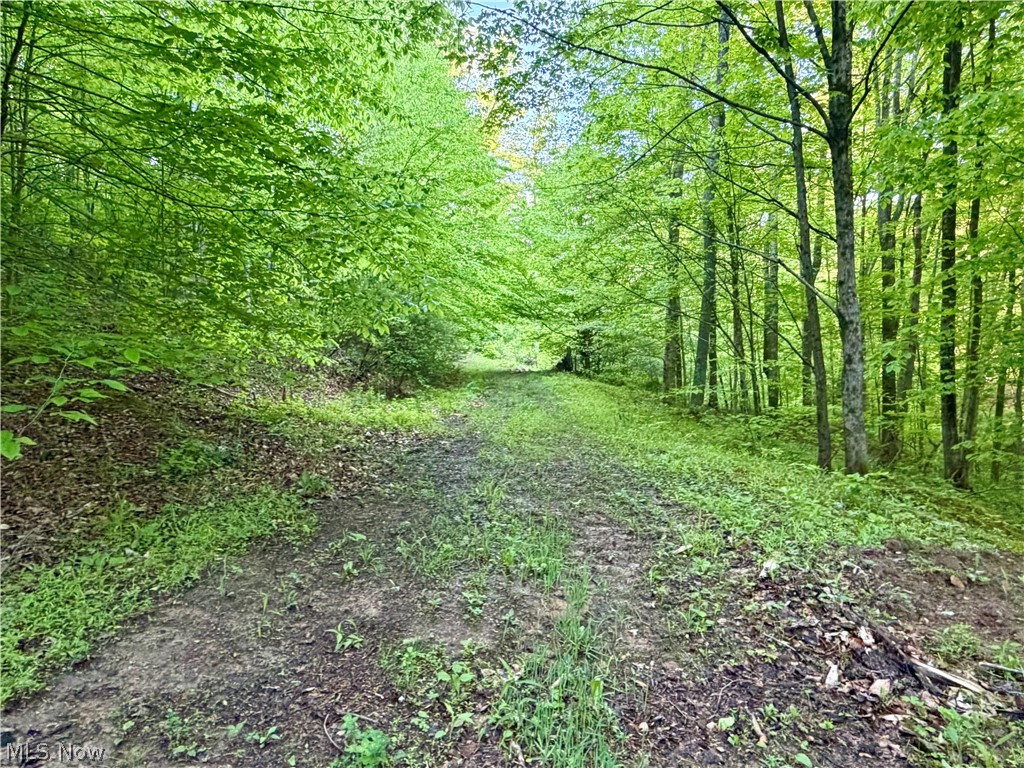 Crum Ridge Road Caldwell, OH 43724 - Photo 34 of 50