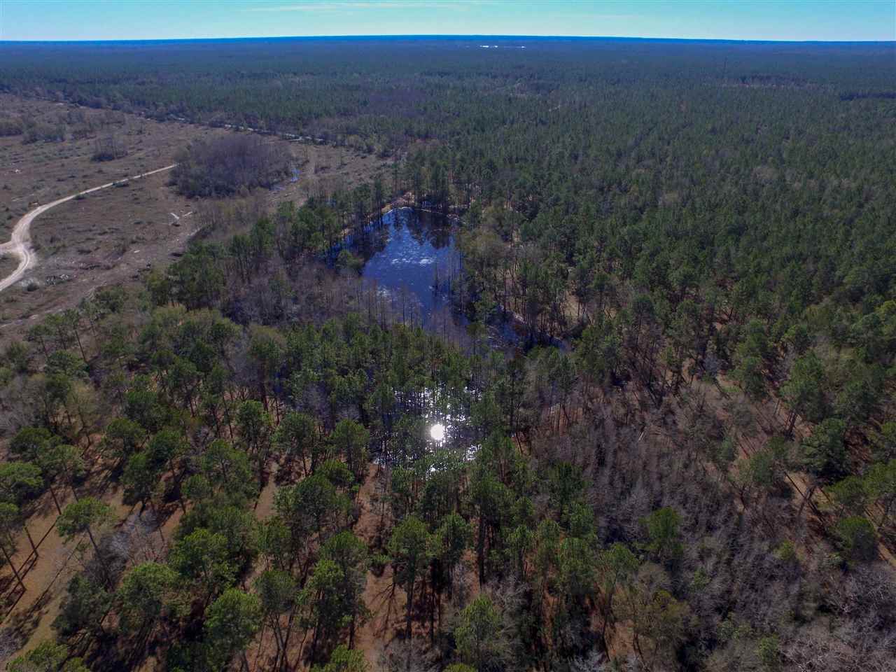 5010 Natural Bridge Road Tallahassee, FL 32305 - Photo 16 of 32 Gallery Image 16