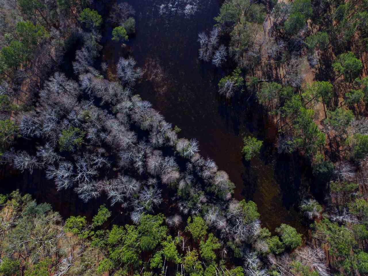 5010 Natural Bridge Road Tallahassee, FL 32305 - Photo 17 of 32 Gallery Image 17