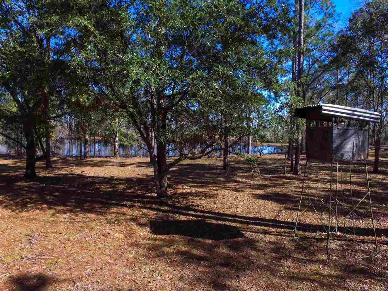 5010 Natural Bridge Road Tallahassee, FL 32305 - Photo 19 of 32 Gallery Image 19