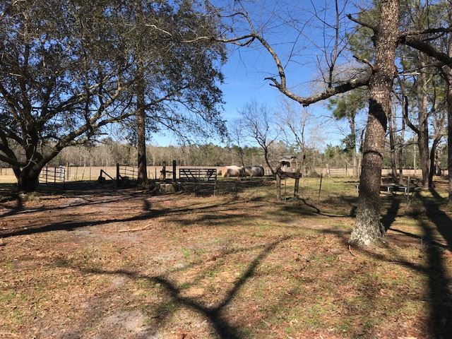 5010 Natural Bridge Road Tallahassee, FL 32305 - Photo 27 of 32 Gallery Image 27
