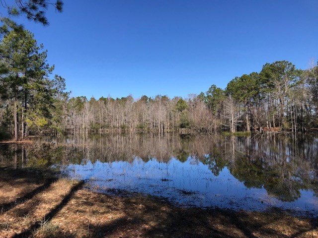 5010 Natural Bridge Road Tallahassee, FL 32305 - Photo 29 of 32 Gallery Image 29