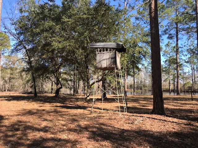 5010 Natural Bridge Road Tallahassee, FL 32305 - Photo 30 of 32 Gallery Image 30