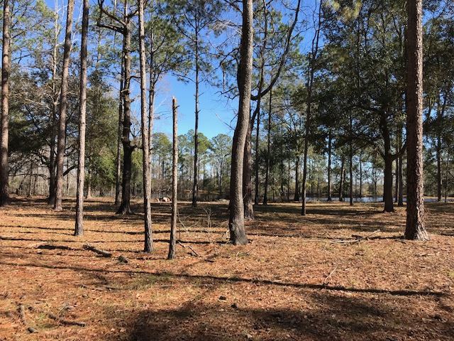 5010 Natural Bridge Road Tallahassee, FL 32305 - Photo 31 of 32 Gallery Image 31