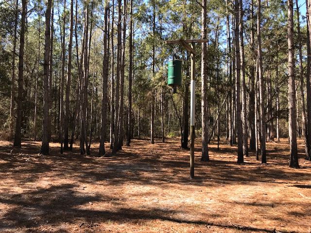 5010 Natural Bridge Road Tallahassee, FL 32305 - Photo 32 of 32 Gallery Image 32