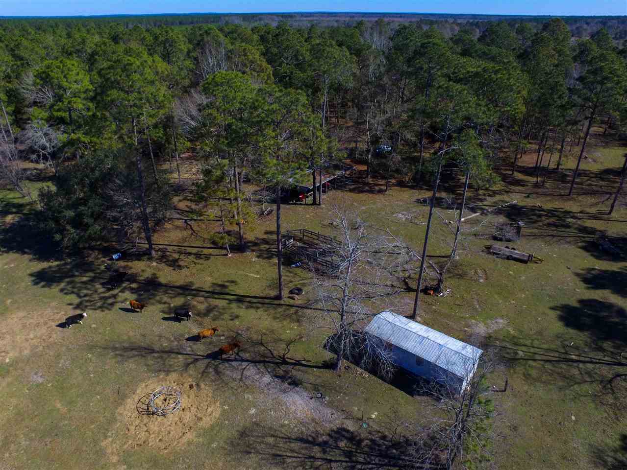 5010 Natural Bridge Road Tallahassee, FL 32305 - Photo 10 of 32 Gallery Image 10