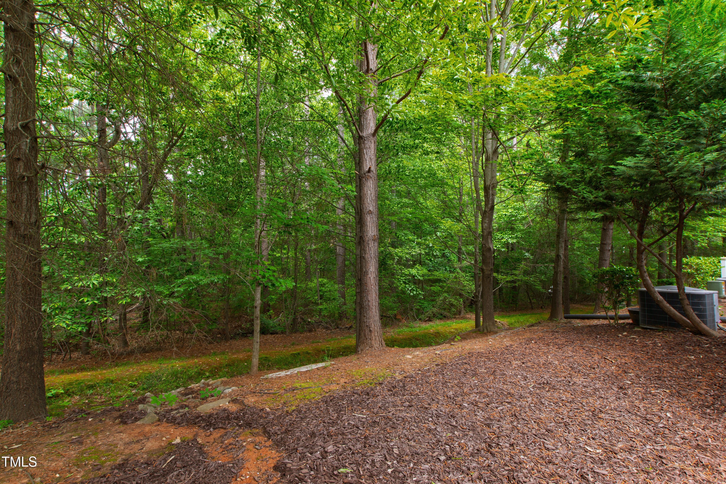 1231 Silver Beach Way Raleigh, NC 27606 - Photo 11 of 31 Silver (46)