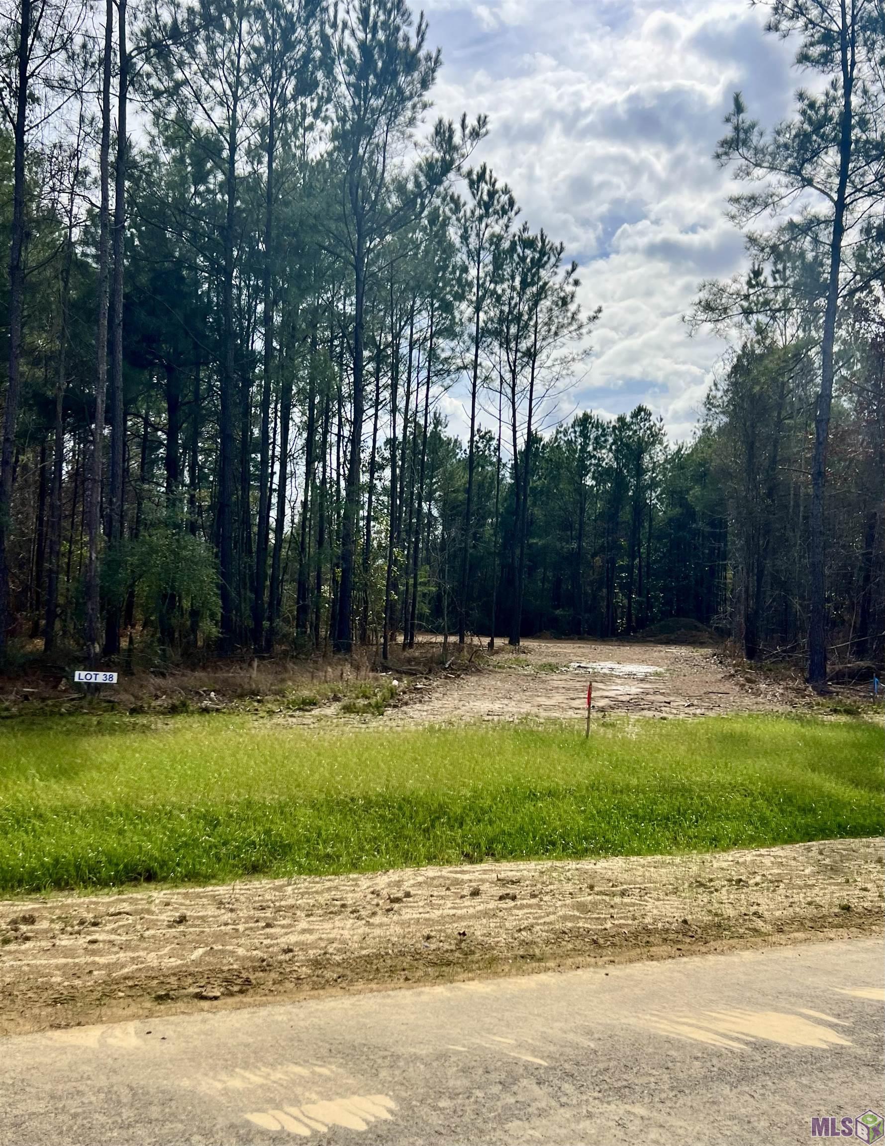 Lot 28 Copper Pass Livingston, LA 70754 - Photo 10 of 18
