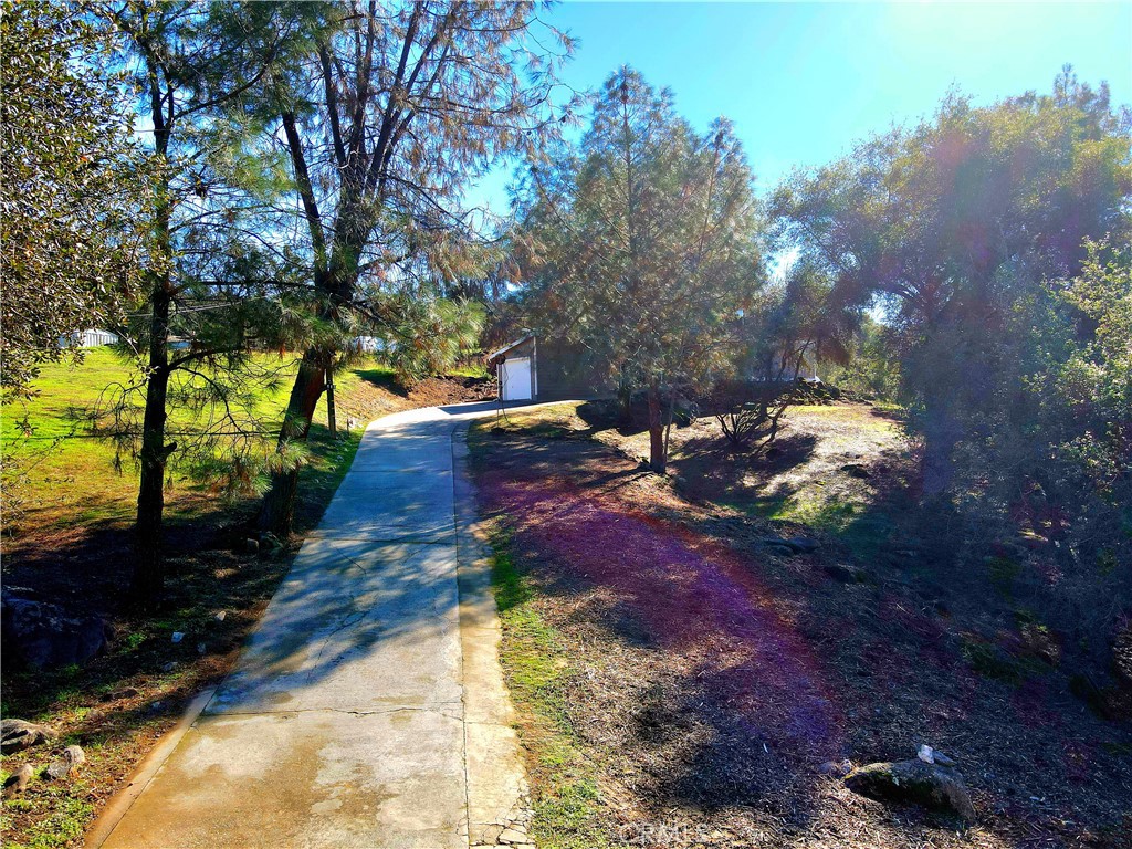 43629 Ranger Cir Drive Coarsegold, CA 93614 - Photo 54 of 54 a view of yard