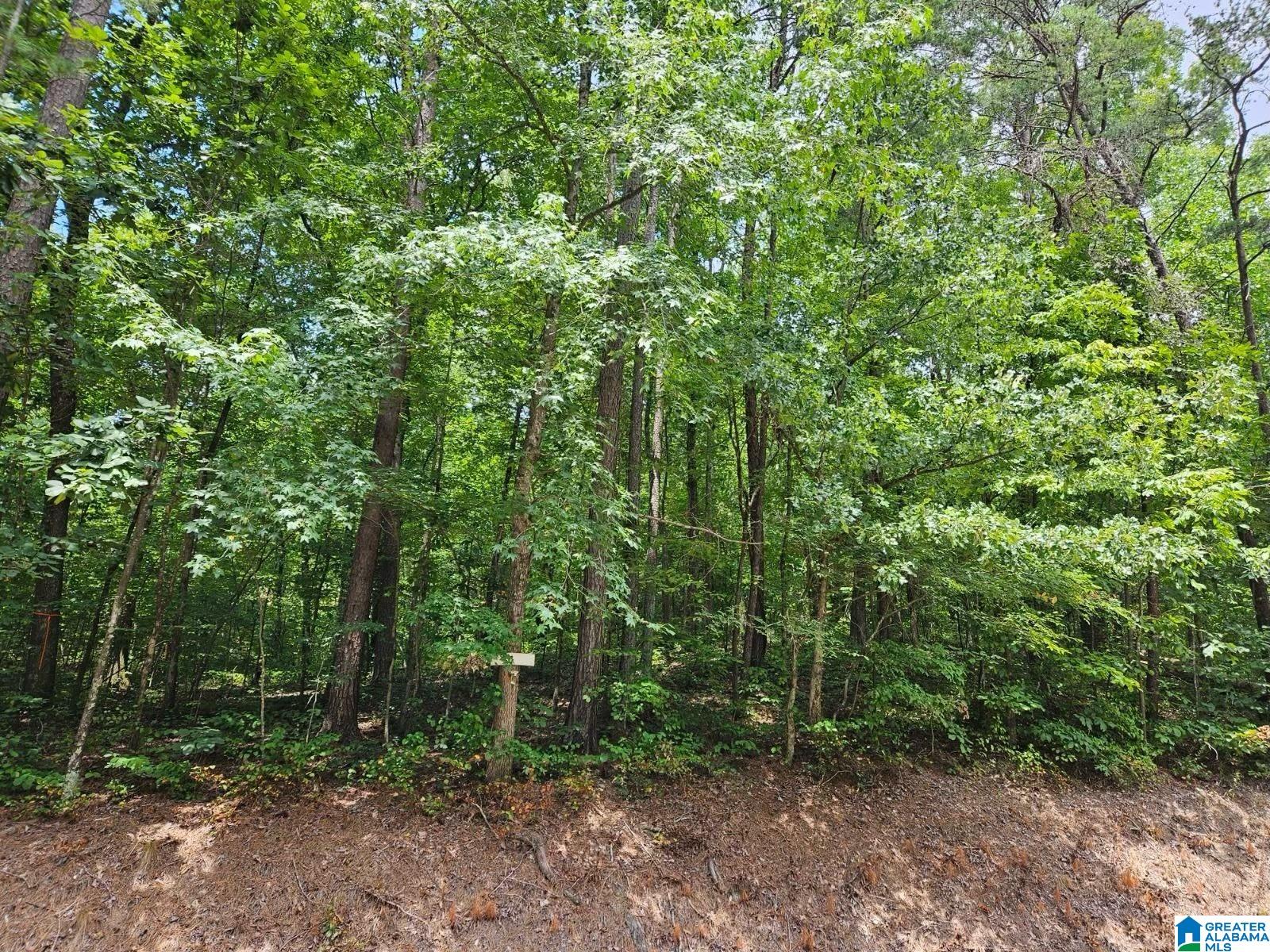 4464 Shady Grove Road, Unit LOT 19 Gardendale, AL 35071 - Photo 1 of 3