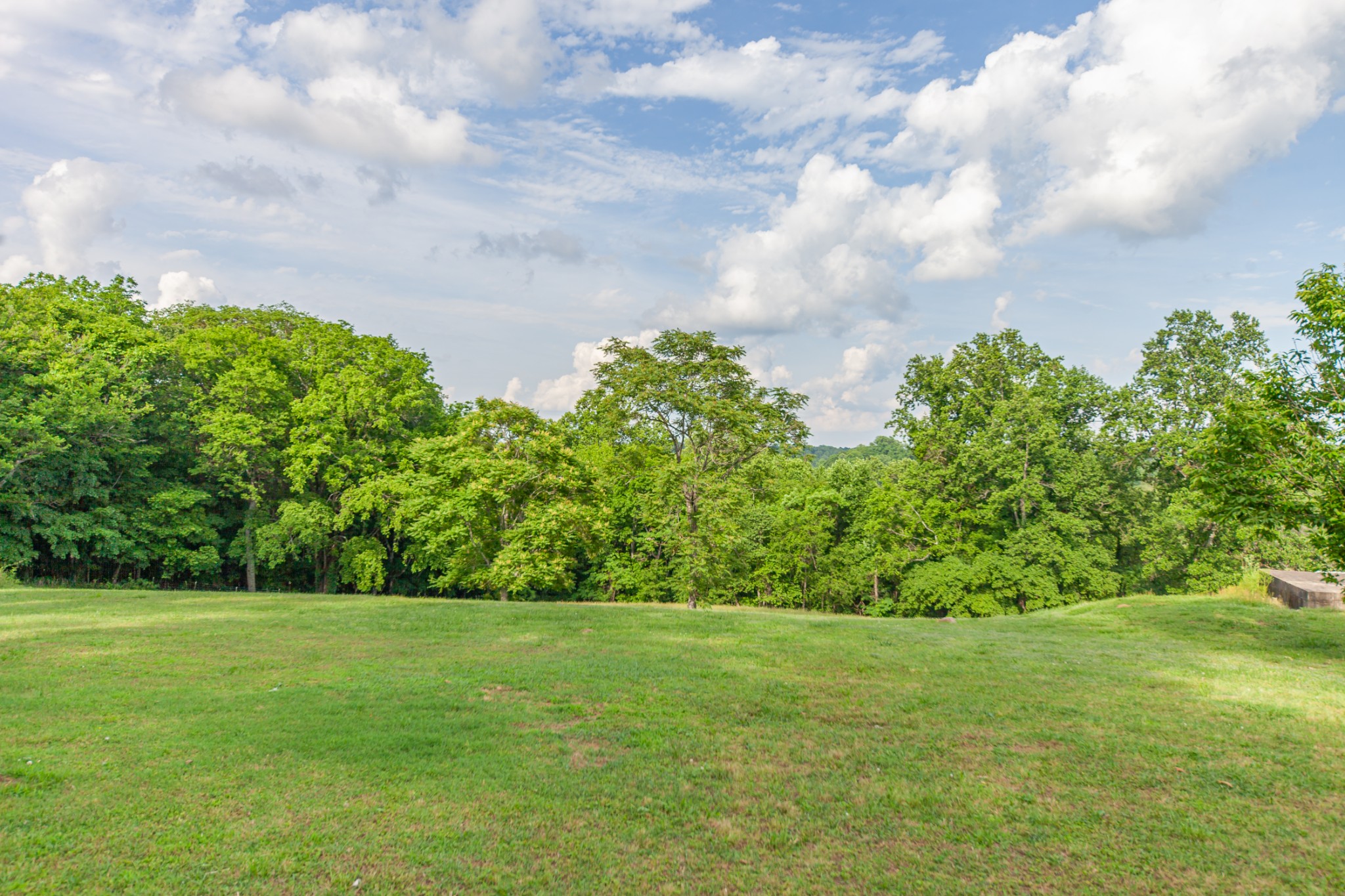 196 Ridgeview Drive Pulaski, TN 38478 - Photo 58 of 59 Gallery Image 58