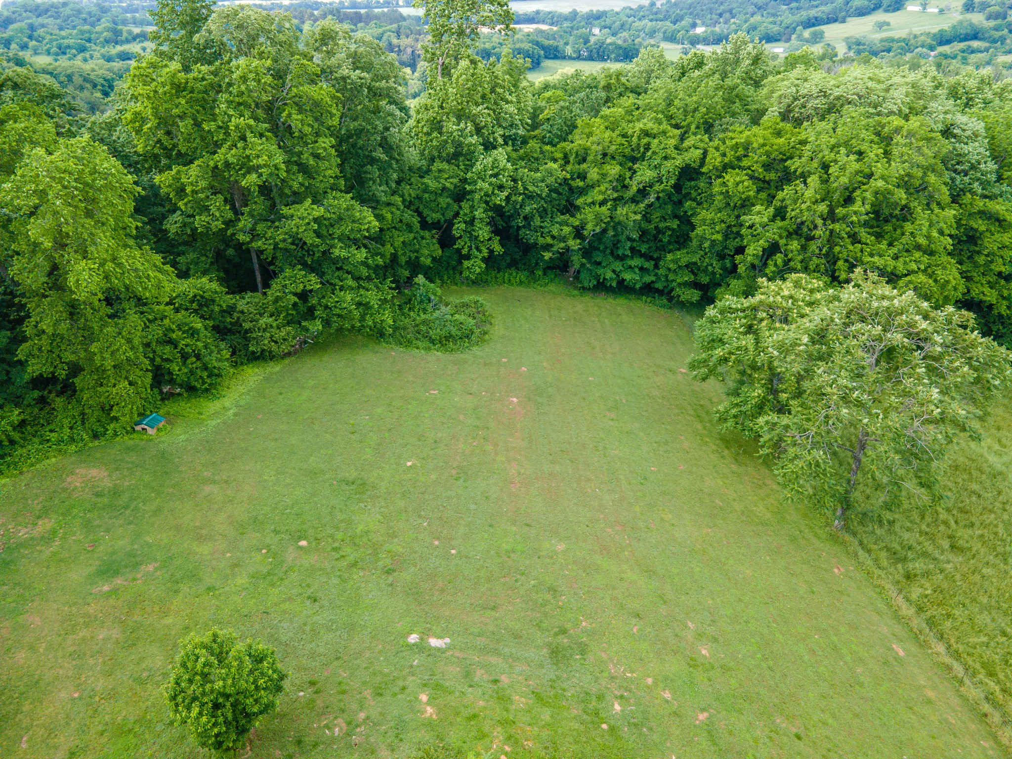 196 Ridgeview Drive Pulaski, TN 38478 - Photo 9 of 59 Gallery Image 9