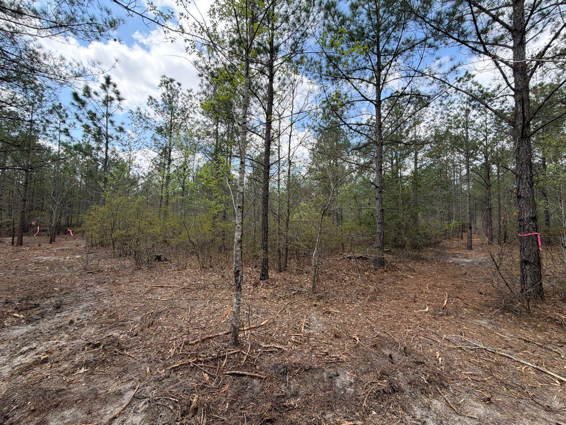 2 Mt Calvary Rd Ridge Spring, Unit CVA 2 Ridge Spring, SC 29129 - Photo 13 of 18 6-Mar 26 2026 04_44pm-oanN