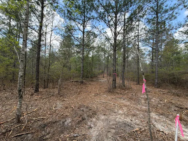 $89,900 | 2 Mt Calvary Rd Ridge Spring, Unit CVA 2, Ridge Spring, SC 29129
