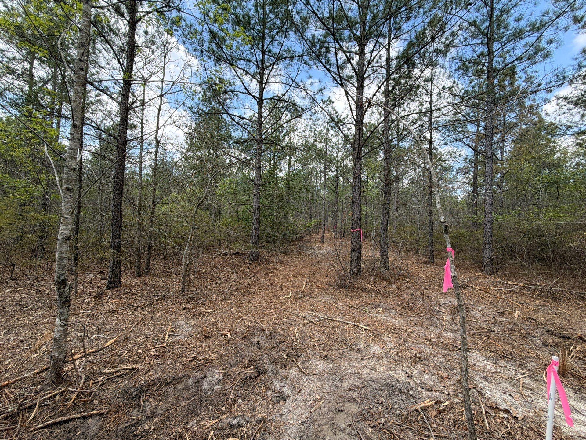 2 Mt Calvary Rd Ridge Spring, Unit CVA 2 Ridge Spring, SC 29129 - Photo 14 of 18 5-Mar 26 2026 04_43pm-S8Lr