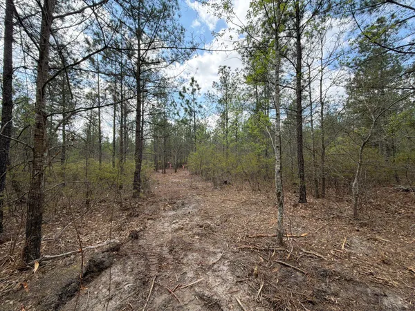 $89,900 | 2 Mt Calvary Rd Ridge Spring, Unit CVA 2, Ridge Spring, SC 29129