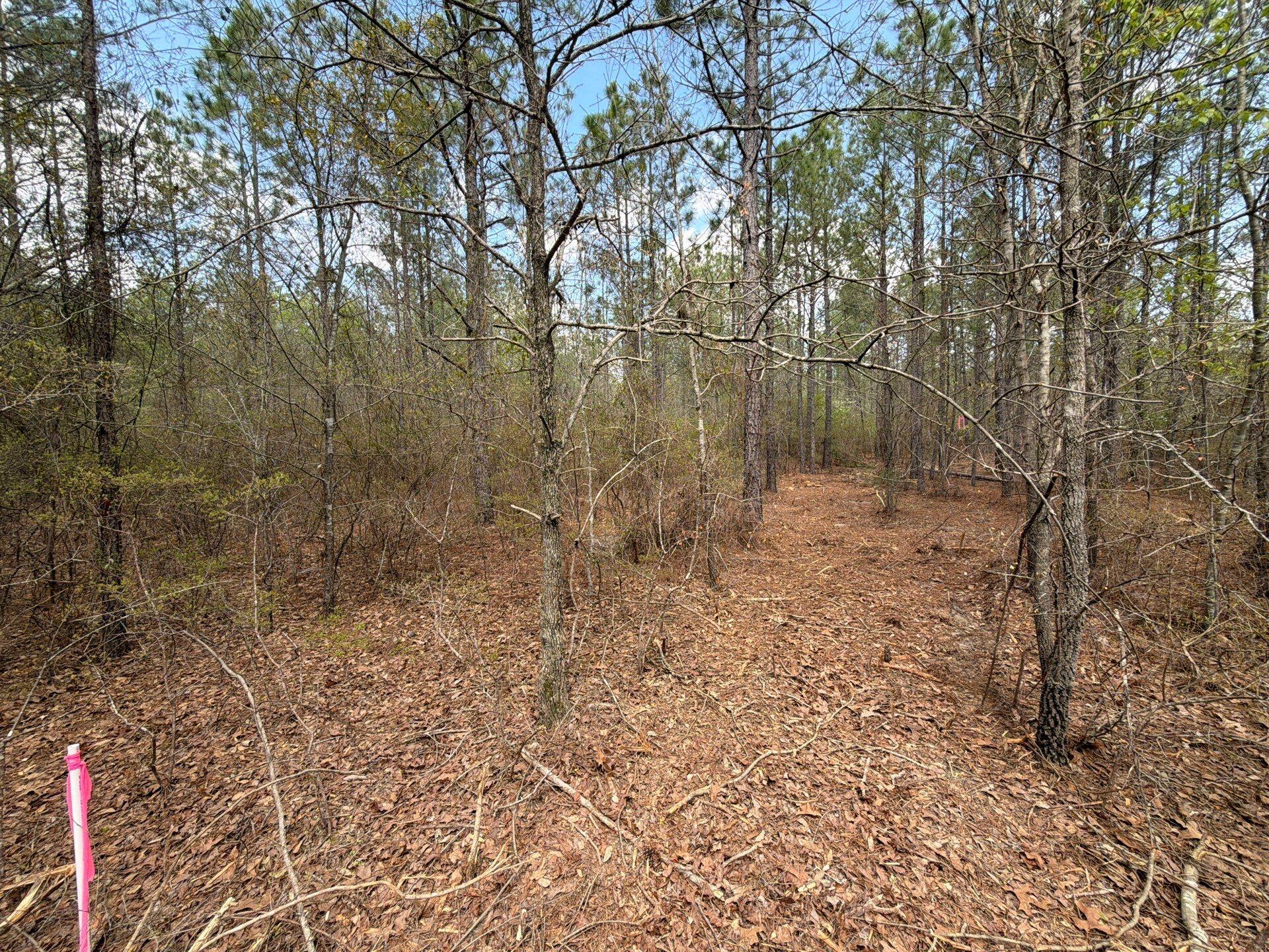 2 Mt Calvary Rd Ridge Spring, Unit CVA 2 Ridge Spring, SC 29129 - Photo 18 of 18 1-Mar 26 2026 04_31pm-LtF8